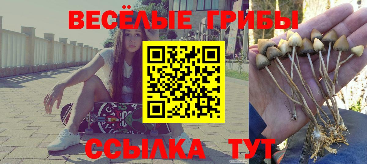 Псилоцибиновые грибы GOLDEN TEACHER  Вход с VPN  Галлюциногенные грибы ЛСД  Валуйки 